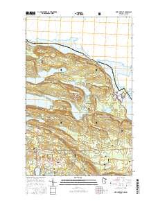 Pine Lake East 2016 topographic map thumbnail