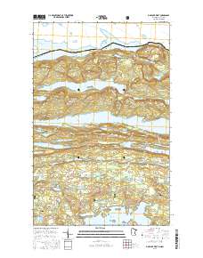 Pine Lake West 2016 topographic map thumbnail
