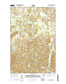 Schoolcraft Lake 2016 topographic map thumbnail