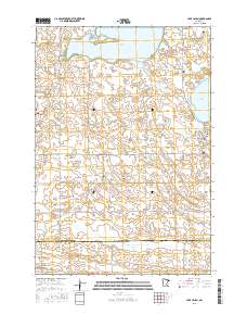 Lake Lillian 2016 topographic map thumbnail