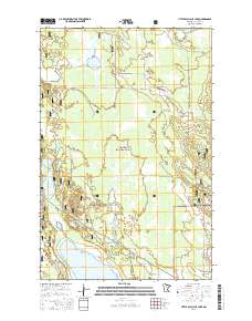 Little Ball Club Lake 2016 topographic map thumbnail