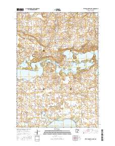 Little Kandiyohi Lake 2016 topographic map thumbnail