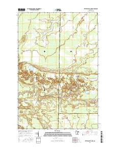 Little Prairie Lake 2016 topographic map thumbnail