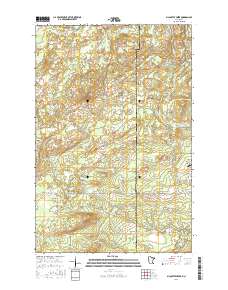 McCarthy Creek 2016 topographic map thumbnail