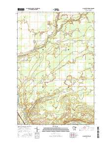 McCarty River 2016 topographic map thumbnail