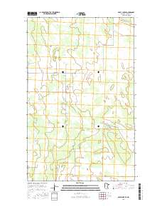 Skull Lake SE 2016 topographic map thumbnail