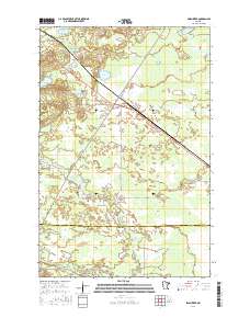 Swan River 2016 topographic map thumbnail