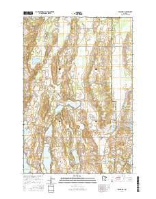 Swanville 2016 topographic map thumbnail
