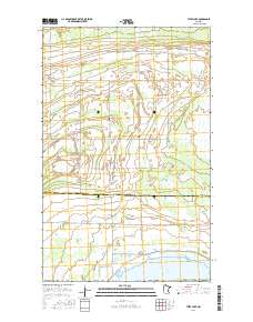 Thief Lake 2016 topographic map thumbnail