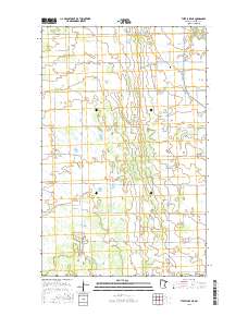 Thief Lake NE 2016 topographic map thumbnail