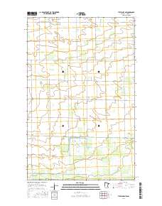 Thief Lake NW 2016 topographic map thumbnail