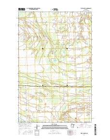 Thief Lake SE 2016 topographic map thumbnail