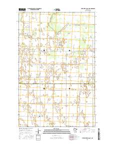 Thief River Falls NE 2016 topographic map thumbnail