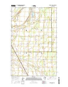 Twistal Swamp 2016 topographic map thumbnail