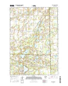 Typo Lake 2016 topographic map thumbnail