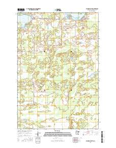 Wahkon South 2016 topographic map thumbnail