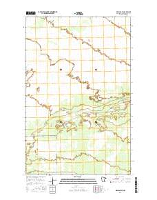 Wayland SE 2016 topographic map thumbnail