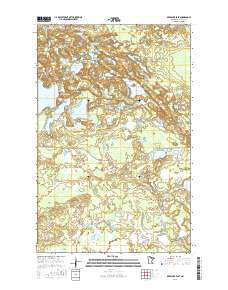 Deer Lake East 2016 topographic map thumbnail