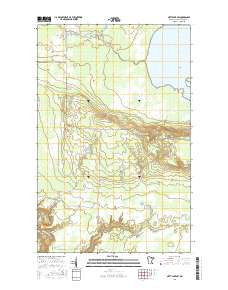 Nett Lake SW 2016 topographic map thumbnail