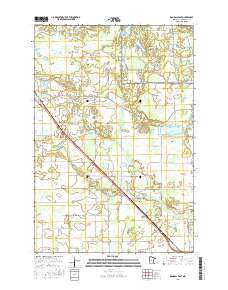 Randall East 2016 topographic map thumbnail