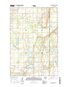 Eagle Bend NW 2016 topographic map thumbnail