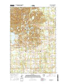 Wolf Lake 2016 topographic map thumbnail