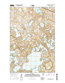 Big Cormorant Lake 2016 topographic map thumbnail