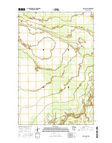 Big Falls SE 2016 topographic map thumbnail