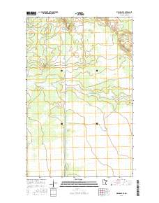 Birchdale SE 2016 topographic map thumbnail