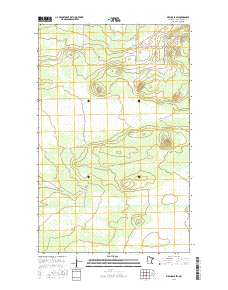 Birchdale SW 2016 topographic map thumbnail