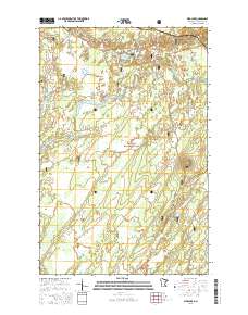 Bird Lake 2016 topographic map thumbnail