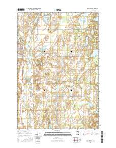 Browerville 2016 topographic map thumbnail