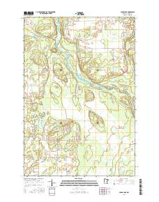 Cedar Lake 2016 topographic map thumbnail