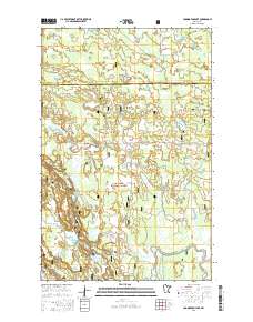 Coddington Lake 2016 topographic map thumbnail