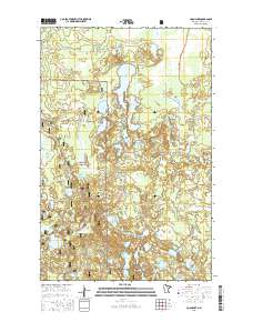 Coon Lake 2016 topographic map thumbnail
