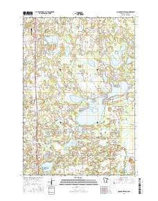 Coon Lake Beach 2016 topographic map thumbnail