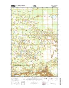 Deer Lake NW 2016 topographic map thumbnail