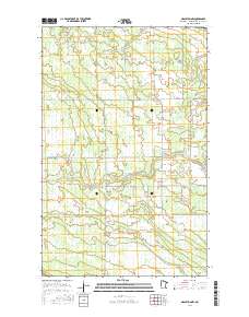 Graceton NW 2016 topographic map thumbnail