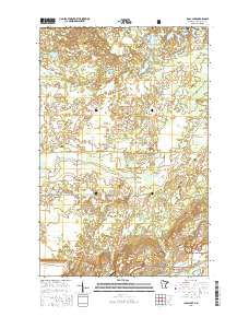Isaac Lake 2016 topographic map thumbnail