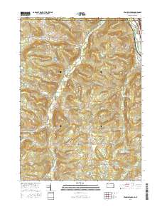 Franklin Forks 2016 topographic map thumbnail