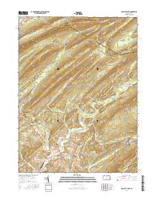 McAlevys Fort 2016 topographic map thumbnail