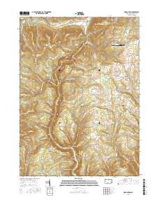 Tiadaghton 2016 topographic map thumbnail