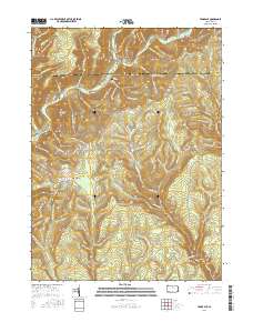 Tamarack 2016 topographic map thumbnail