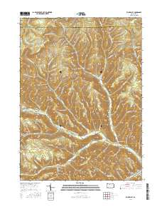 Rich Valley 2016 topographic map thumbnail