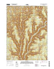 Young Womans Creek 2016 topographic map thumbnail