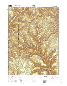 Lee Fire Tower 2016 topographic map thumbnail