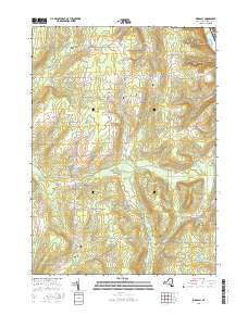 Birdsall 2016 topographic map thumbnail