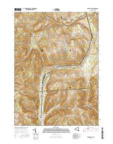 Beaver Dams 2016 topographic map thumbnail