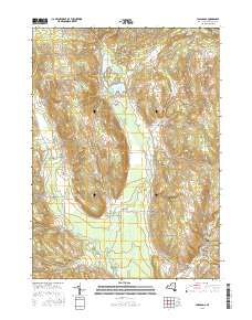 Cassadaga 2016 topographic map thumbnail