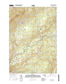 Dannemora 2016 topographic map thumbnail